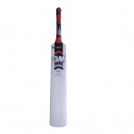 GM Purist Bullet English Willow Cricket Bat
